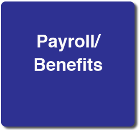 Payroll Link